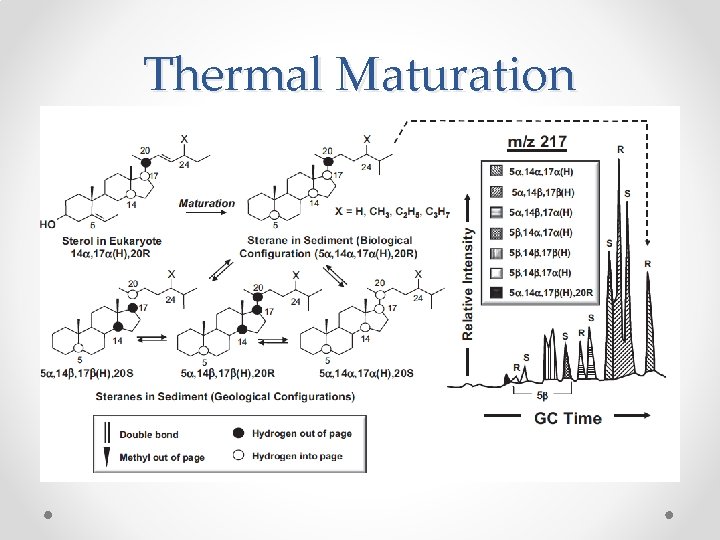 Thermal Maturation 