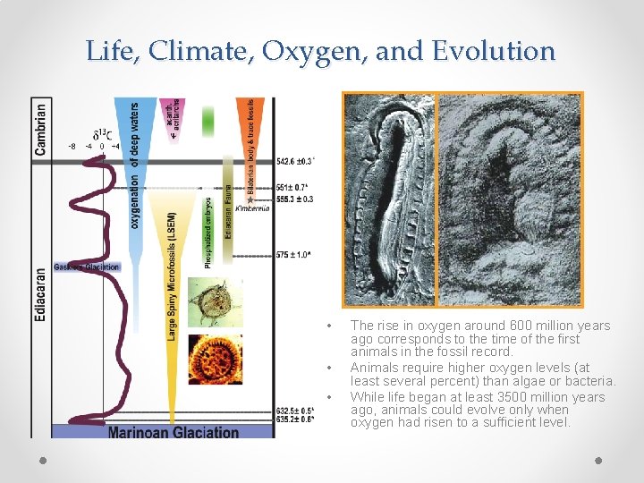 Life, Climate, Oxygen, and Evolution • • • The rise in oxygen around 600