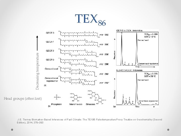 Decreasing temperature TEX 86 Head groups (often lost) J. E. Tierney Biomarker-Based Inferences of