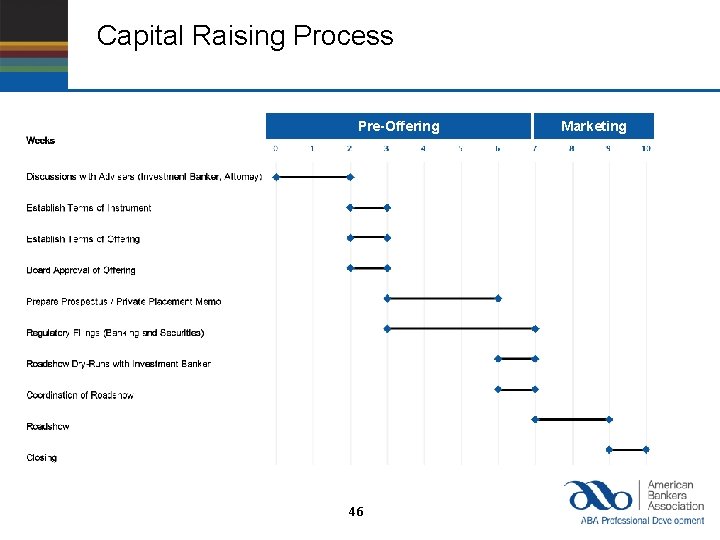 Capital Raising Process Pre-Offering 46 Marketing 