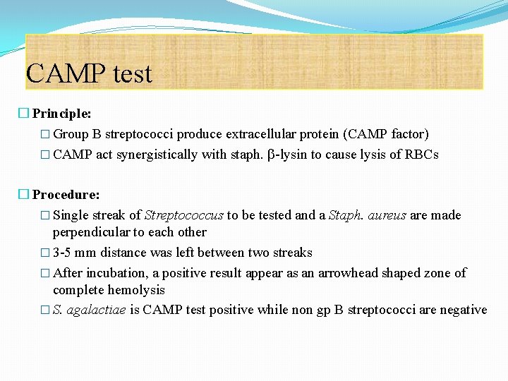 CAMP test � Principle: � Group B streptococci produce extracellular protein (CAMP factor) �