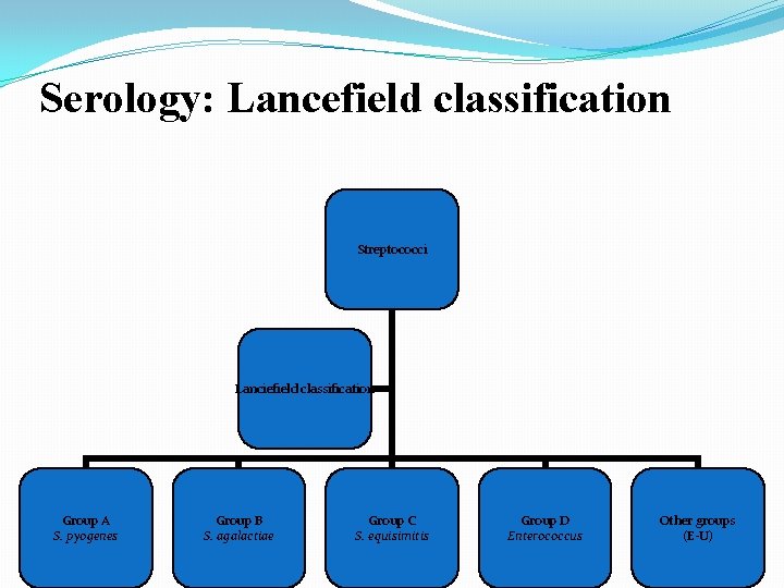 Serology: Lancefield classification Streptococci Lanciefield classification Group A S. pyogenes Group B S. agalactiae