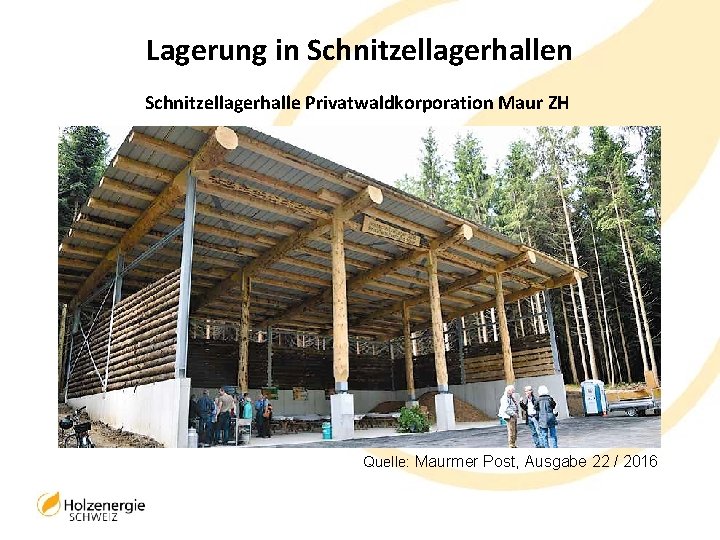 Lagerung in Schnitzellagerhalle Privatwaldkorporation Maur ZH Quelle: Maurmer Post, Ausgabe 22 / 2016 