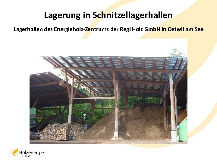 Lagerung in Schnitzellagerhallen Lagerhallen des Energieholz-Zentrums der Regi Holz Gmb. H in Oetwil am