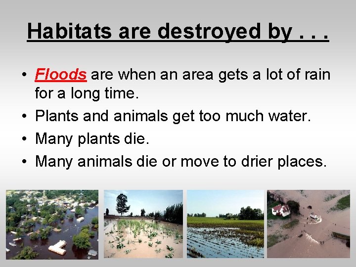 Habitats are destroyed by. . . • Floods are when an area gets a