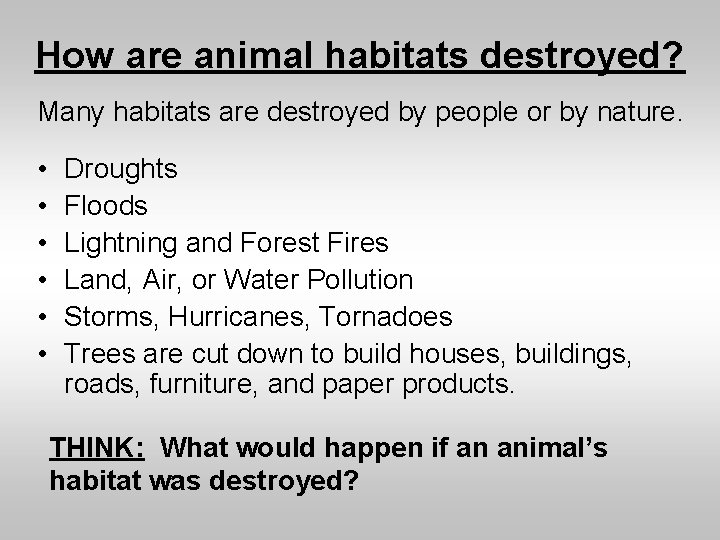 How are animal habitats destroyed? Many habitats are destroyed by people or by nature.