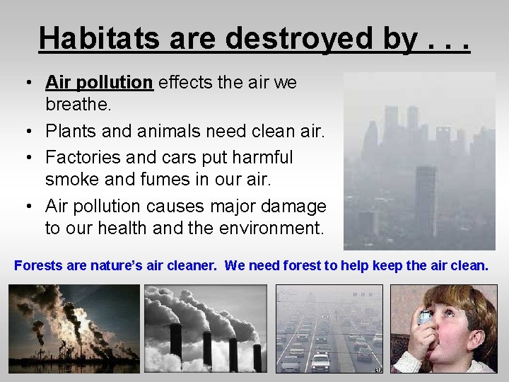 Habitats are destroyed by. . . • Air pollution effects the air we breathe.