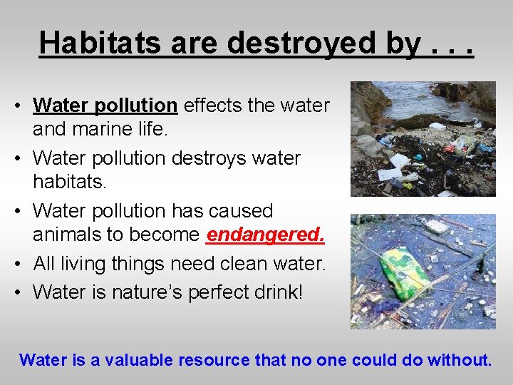 Habitats are destroyed by. . . • Water pollution effects the water and marine