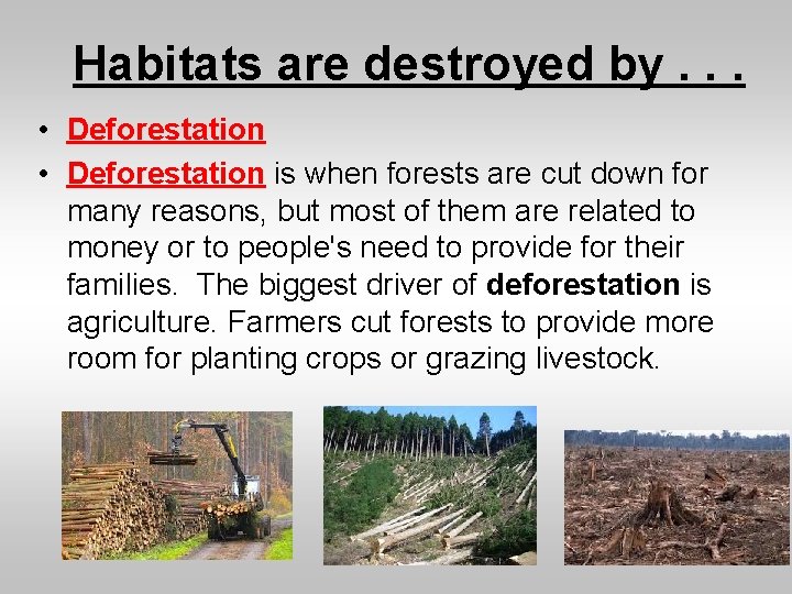 Habitats are destroyed by. . . • Deforestation is when forests are cut down