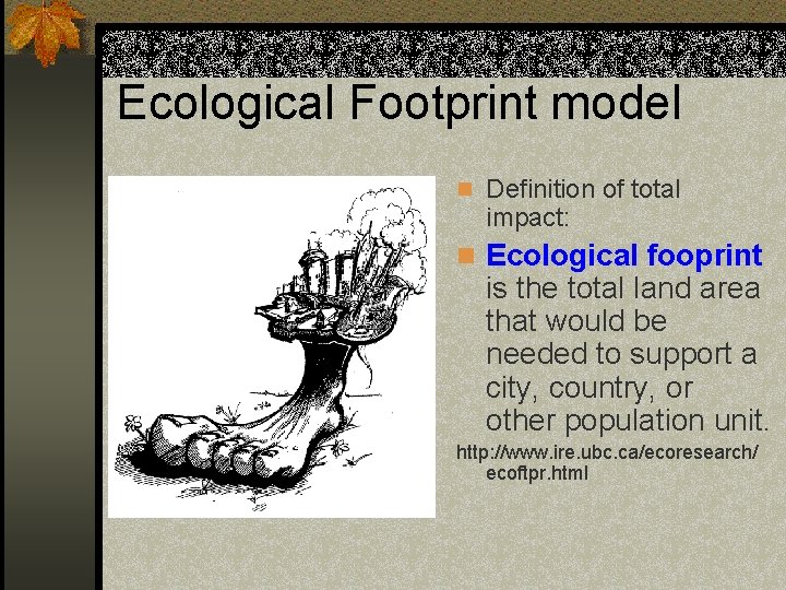 Ecological Footprint model n Definition of total impact: n Ecological fooprint is the total