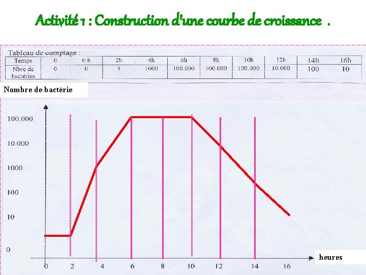 Activité 1 : Construction d’une courbe de croissance. Nombre de bactérie heures 