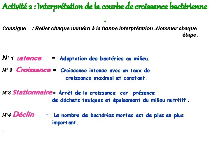 Activité 2 : Interprétation de la courbe de croissance bactérienne. Consigne : Relier chaque