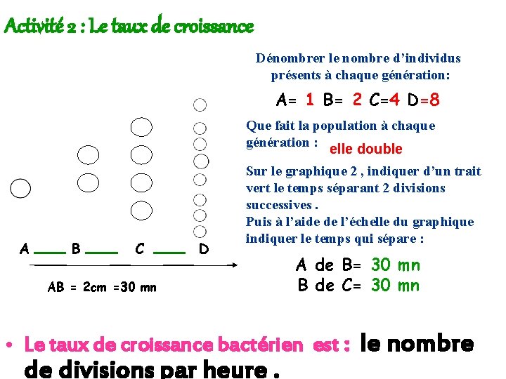 Activité 2 : Le taux de croissance Dénombrer le nombre d’individus présents à chaque