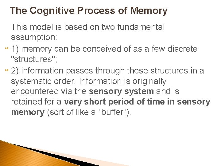 The Cognitive Process of Memory This model is based on two fundamental assumption: 1)