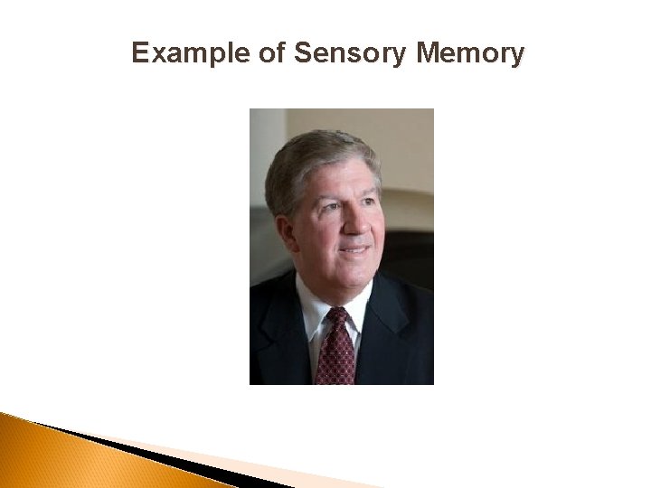 Example of Sensory Memory 