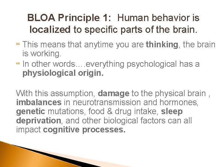 BLOA Principle 1: Human behavior is localized to specific parts of the brain. This