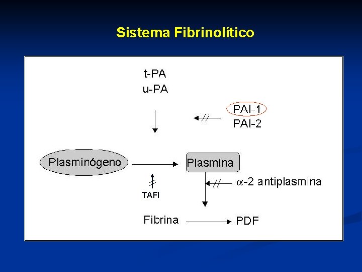 Sistema Fibrinolítico TAFI 