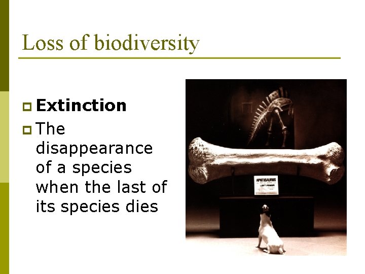 Loss of biodiversity p Extinction p The disappearance of a species when the last