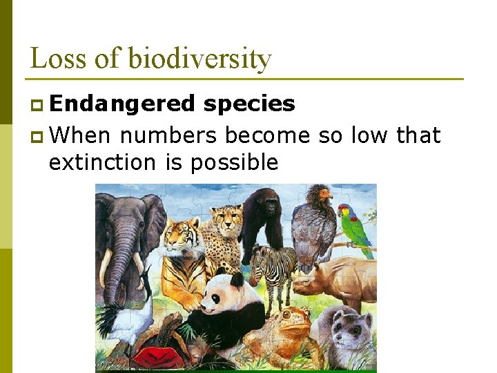 Loss of biodiversity p Endangered species p When numbers become so low that extinction