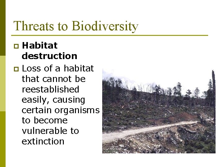 Threats to Biodiversity Habitat destruction p Loss of a habitat that cannot be reestablished