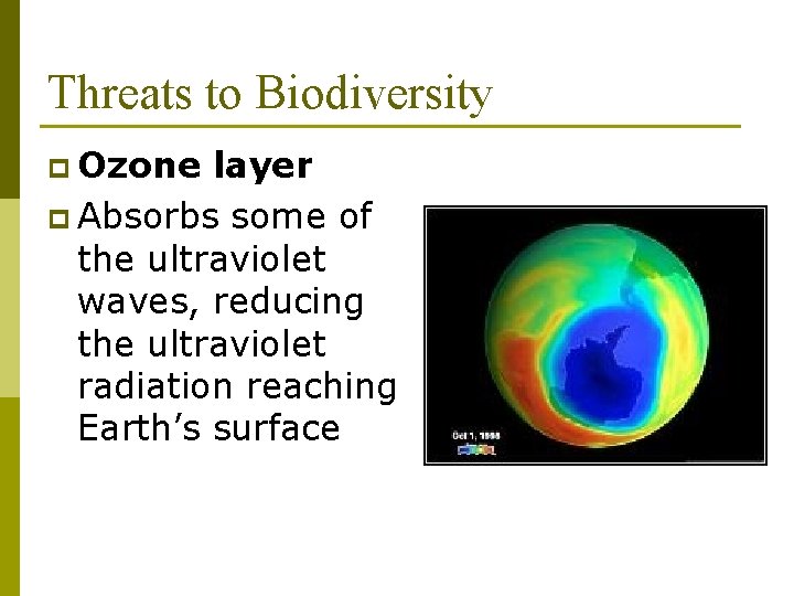 Threats to Biodiversity p Ozone layer p Absorbs some of the ultraviolet waves, reducing