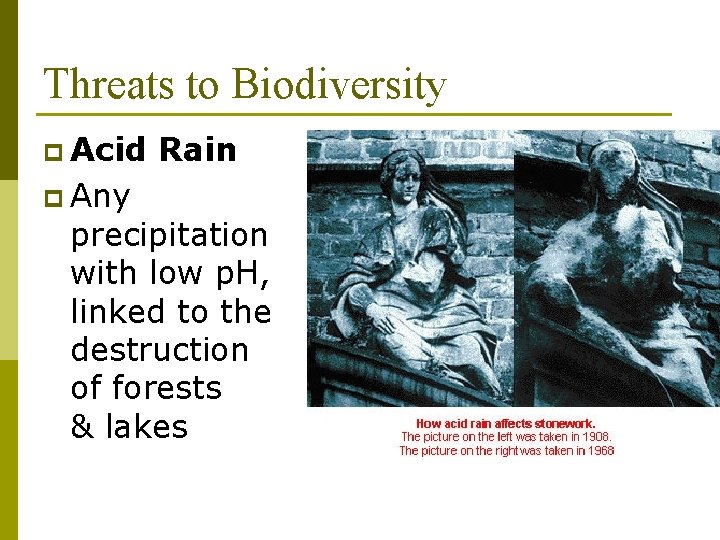 Threats to Biodiversity p Acid p Any Rain precipitation with low p. H, linked