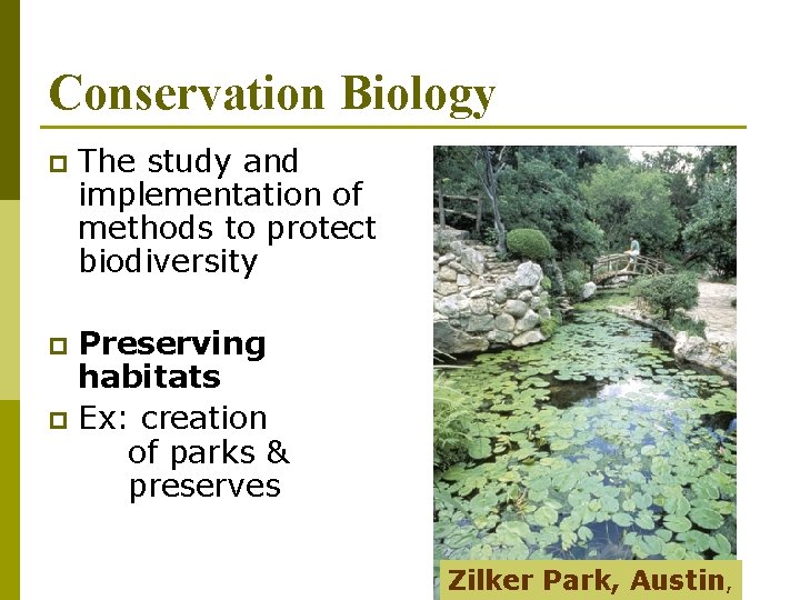 Conservation Biology p The study and implementation of methods to protect biodiversity Preserving habitats