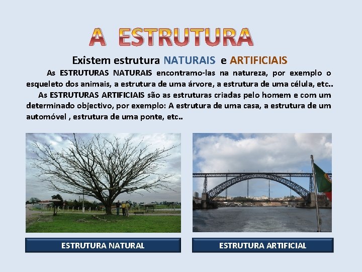 A ESTRUTURA Existem estrutura NATURAIS e ARTIFICIAIS As ESTRUTURAS NATURAIS encontramo-las na natureza, por