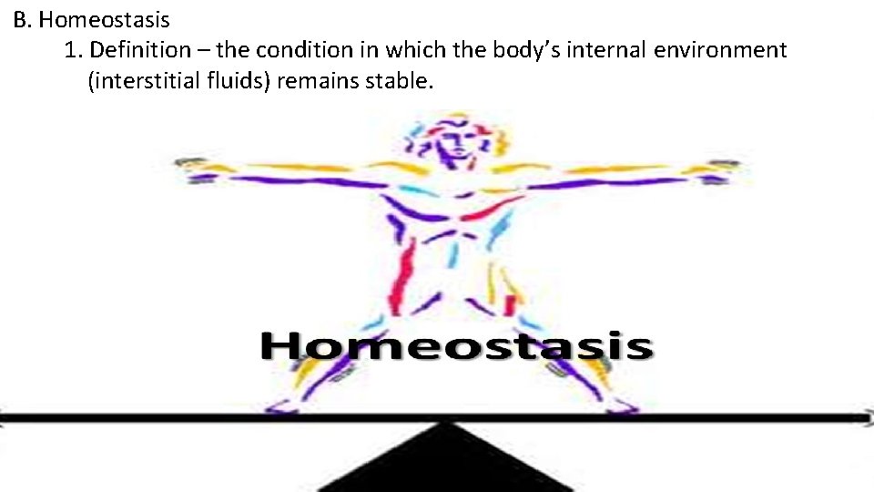 B. Homeostasis 1. Definition – the condition in which the body’s internal environment (interstitial