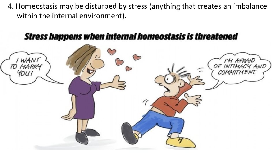 4. Homeostasis may be disturbed by stress (anything that creates an imbalance within the