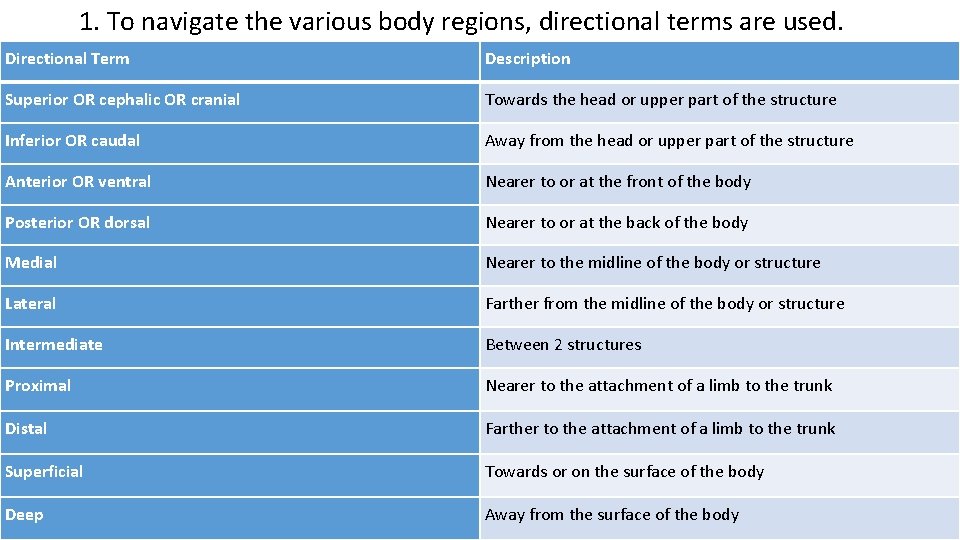 1. To navigate the various body regions, directional terms are used. Directional Term Description
