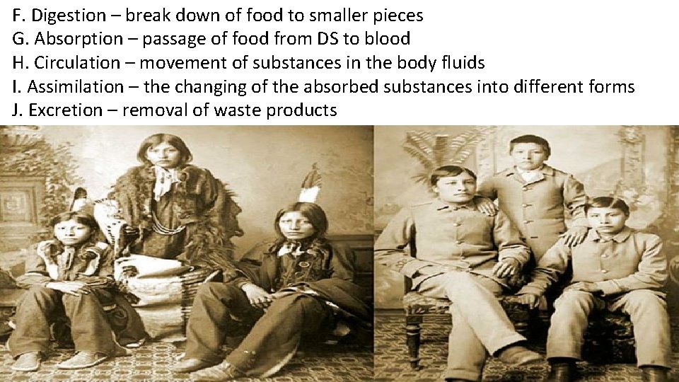 F. Digestion – break down of food to smaller pieces G. Absorption – passage