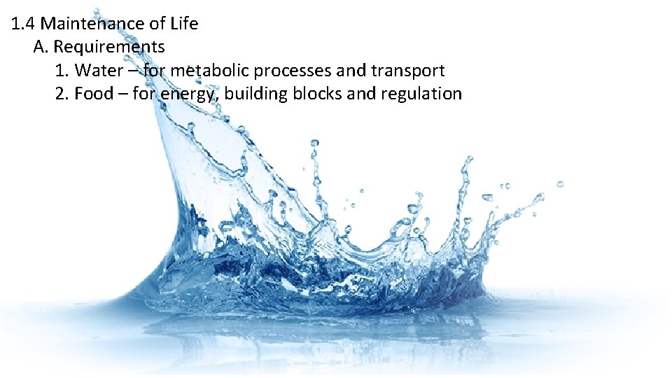 1. 4 Maintenance of Life A. Requirements 1. Water – for metabolic processes and