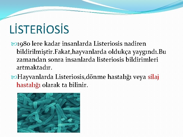 LİSTERİOSİS 1980 lere kadar insanlarda Listeriosis nadiren bildirilmiştir. Fakat, hayvanlarda oldukça yaygındı. Bu zamandan
