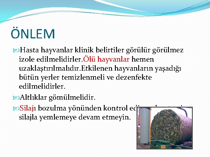 ÖNLEM Hasta hayvanlar klinik belirtiler görülür görülmez izole edilmelidirler. Ölü hayvanlar hemen uzaklaştırılmalıdır. Etkilenen