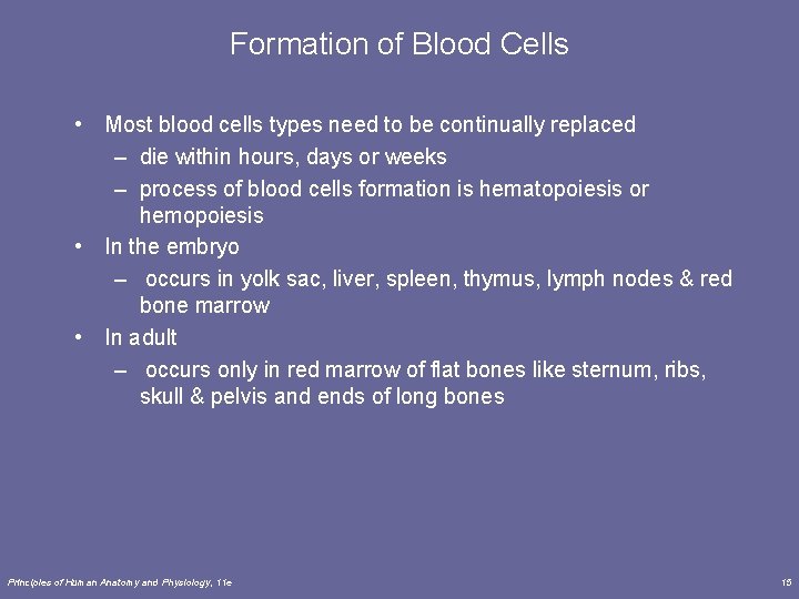 Formation of Blood Cells • Most blood cells types need to be continually replaced