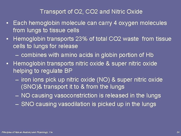 Transport of O 2, CO 2 and Nitric Oxide • Each hemoglobin molecule can