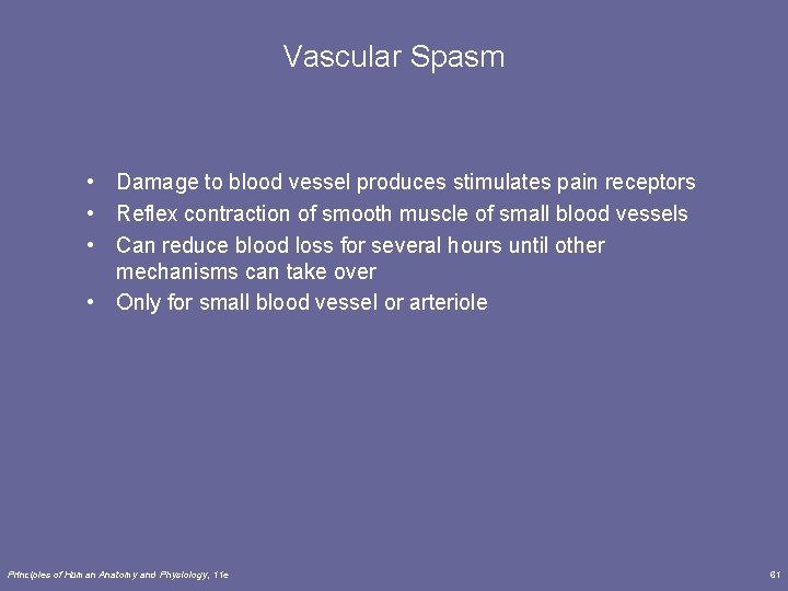 Vascular Spasm • Damage to blood vessel produces stimulates pain receptors • Reflex contraction