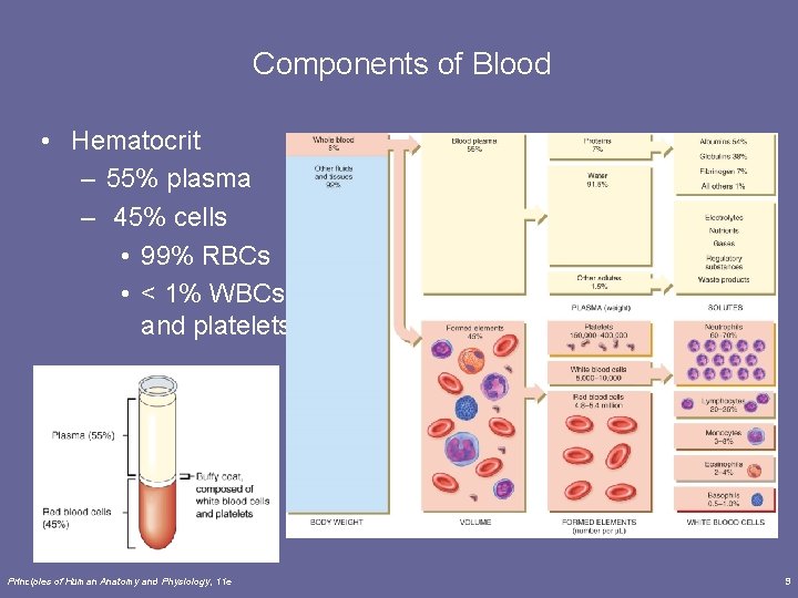Components of Blood • Hematocrit – 55% plasma – 45% cells • 99% RBCs