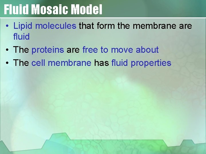 Fluid Mosaic Model • Lipid molecules that form the membrane are fluid • The