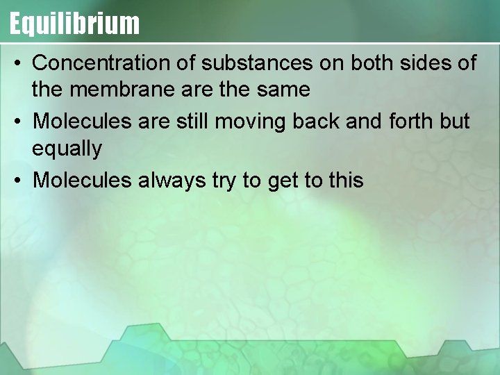 Equilibrium • Concentration of substances on both sides of the membrane are the same