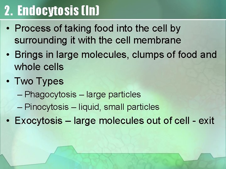 2. Endocytosis (In) • Process of taking food into the cell by surrounding it