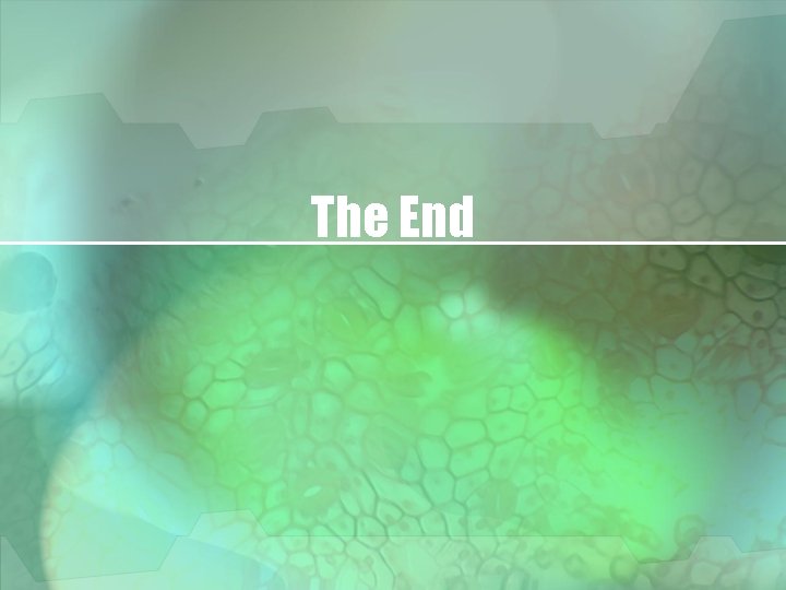 The End 