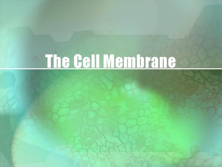 The Cell Membrane 