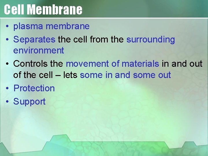 Cell Membrane • plasma membrane • Separates the cell from the surrounding environment •