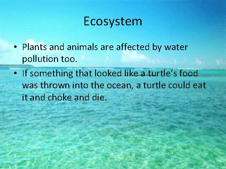 Ecosystem • Plants and animals are affected by water pollution too. • If something
