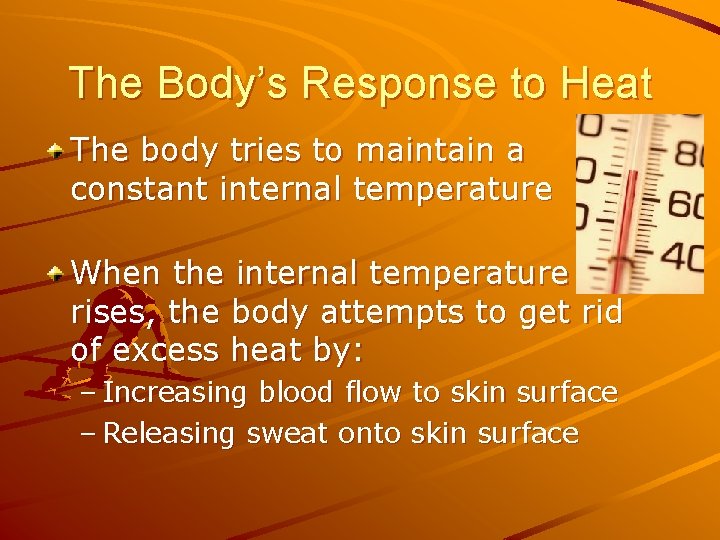 The Body’s Response to Heat The body tries to maintain a constant internal temperature