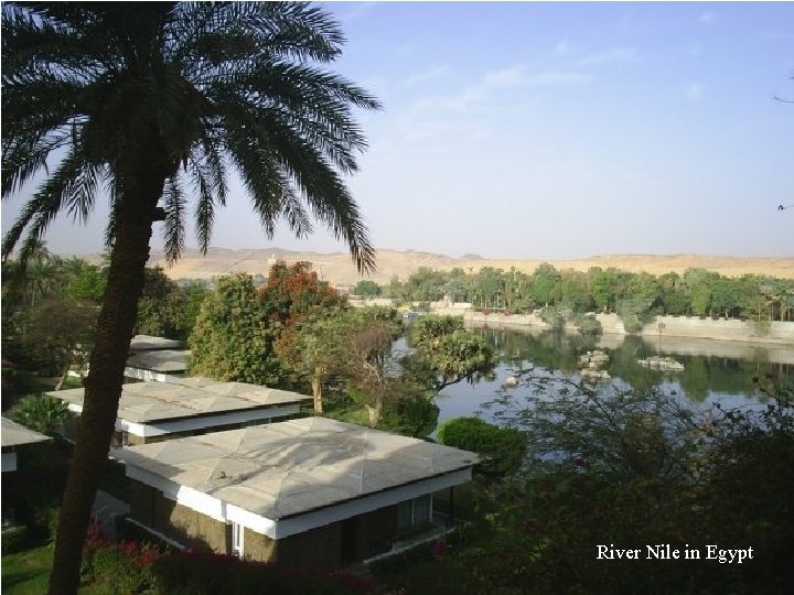 River Nile in Egypt 