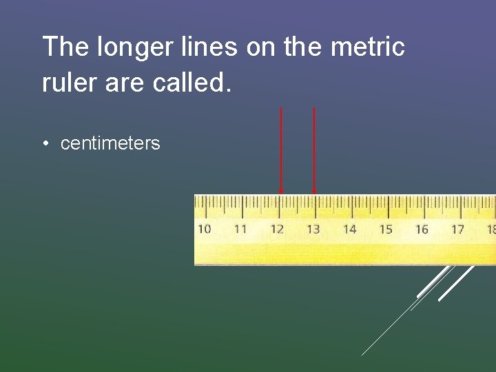 The longer lines on the metric ruler are called. • centimeters 