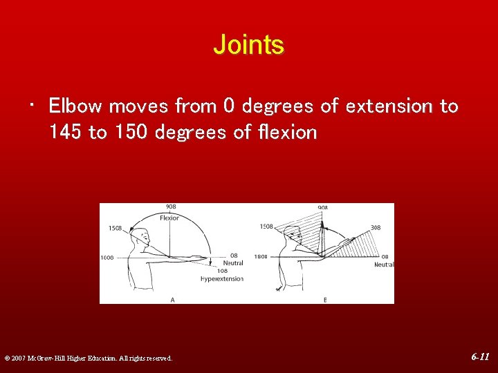 Joints • Elbow moves from 0 degrees of extension to 145 to 150 degrees